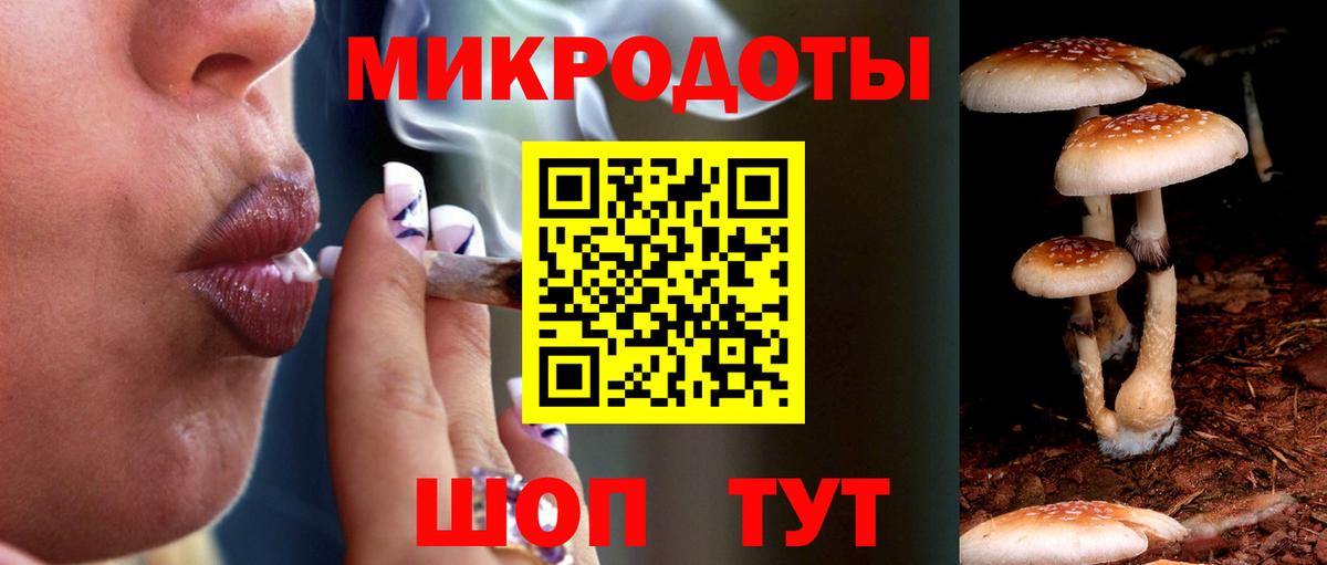 Галлюциногенные грибы GOLDEN TEACHER  Вход с VPN  Георгиевск  Галлюциногенные грибы Magic Shrooms 
